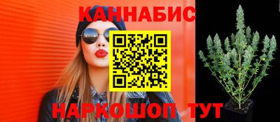 крисы Краснознаменск