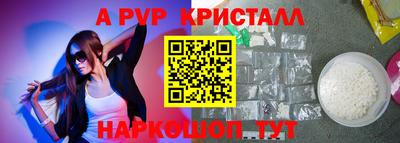 крисы Краснознаменск