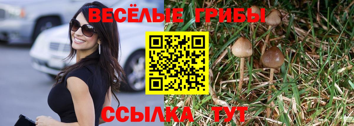 Галлюциногенные грибы Magic Shrooms  Вход с VPN  Кинель 