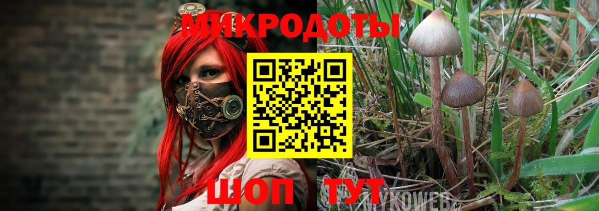 Галлюциногенные грибы мицелий Кинель